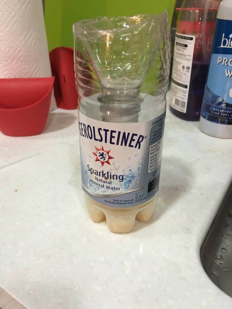 초파리 트랩 만들기