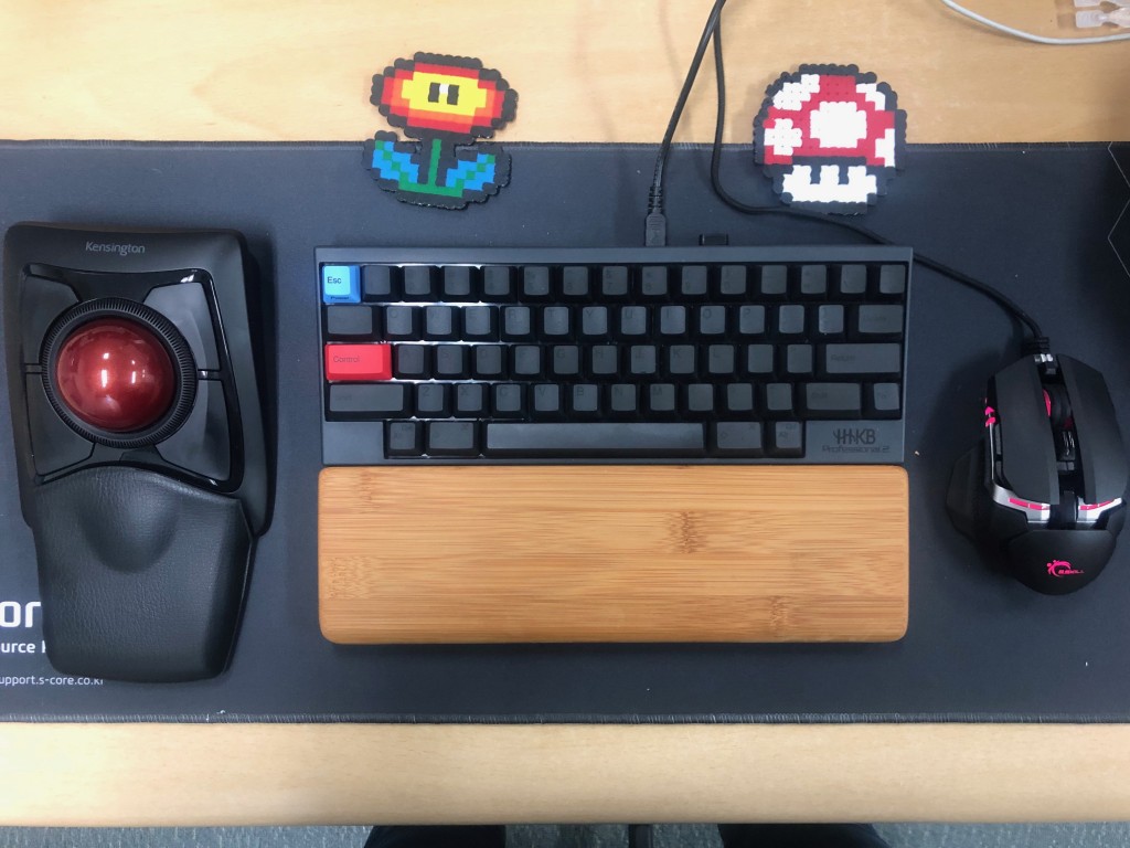 kensington expert trackball 트랙볼, Happy Hacking Keyboard pro2 키보드, G.SILL RIPJAWS MX780 마우스, 비비우드 팜레스트 사용기